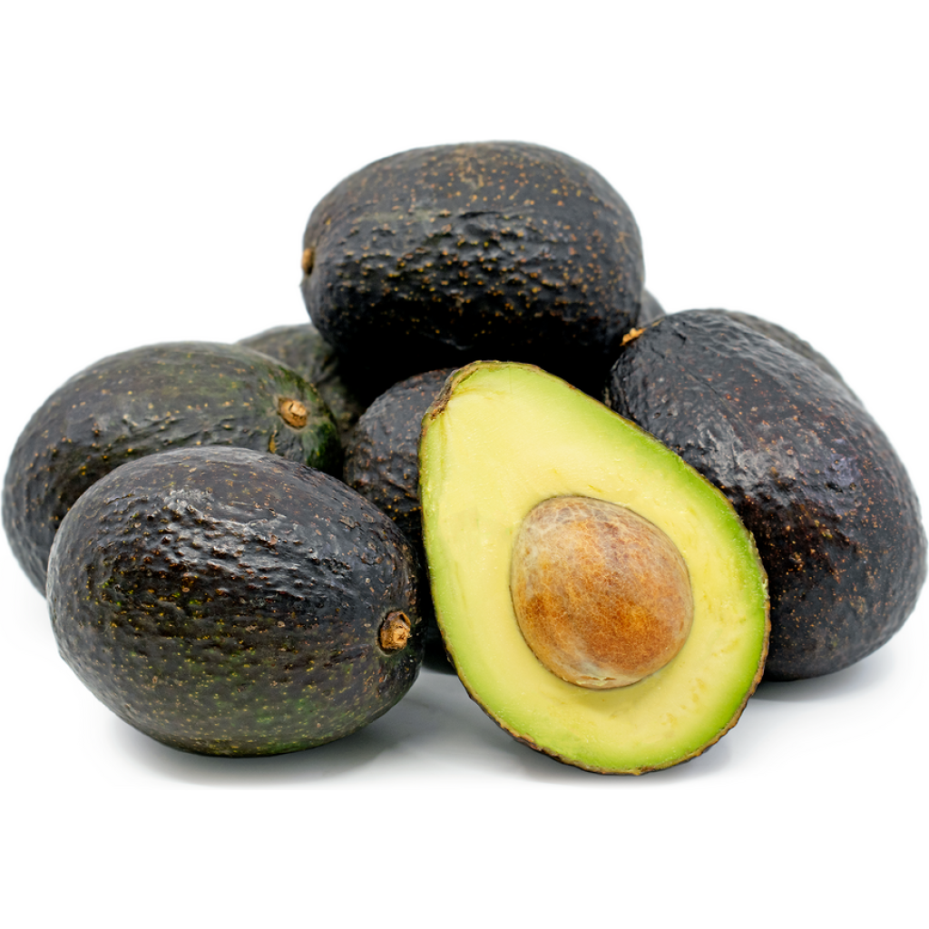 AVOCADO 'HASS'