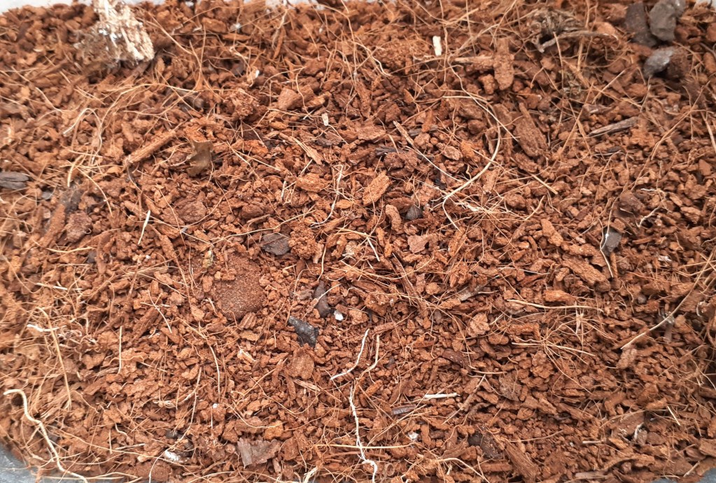 KAIPARA COAST COCONUT FIBRE BLOCK